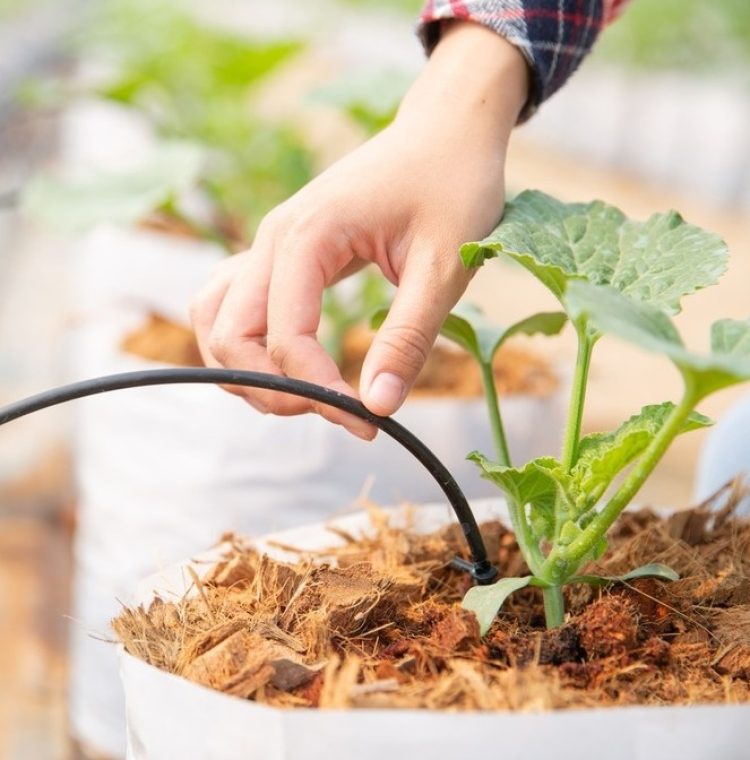 Gardening Image